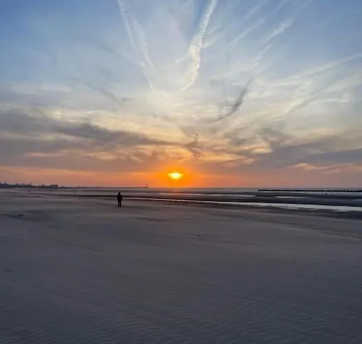 Avec Jardin Rosendael Proche Appartement