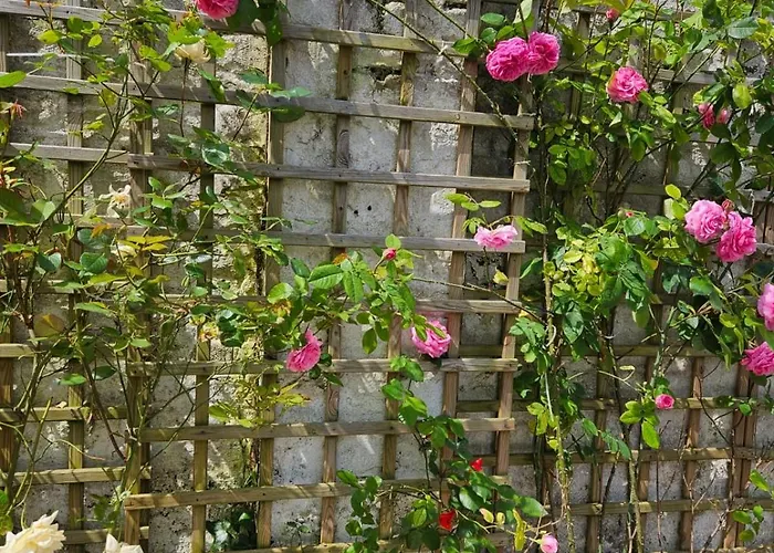 Avec Jardin Rosendael Proche Appartement *