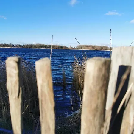 Lägenhet Avec Jardin Rosendael Proche