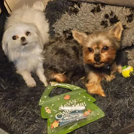 Avec Jardin Rosendael Proche Lägenhet *