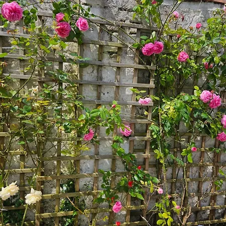 Avec Jardin Rosendael Proche شقة *