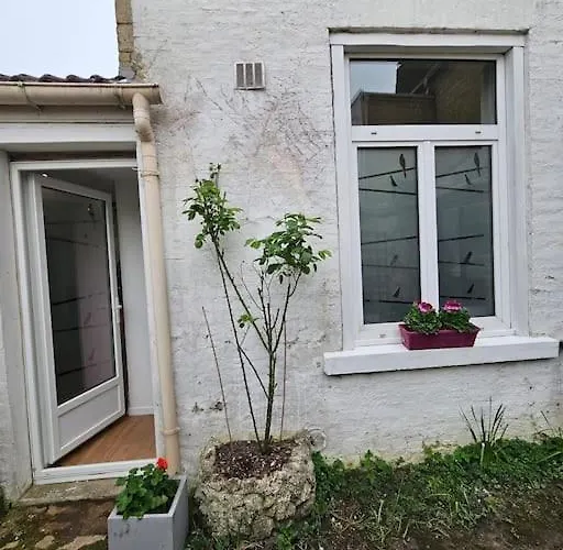 Avec Jardin Rosendael Proche Dunkirk