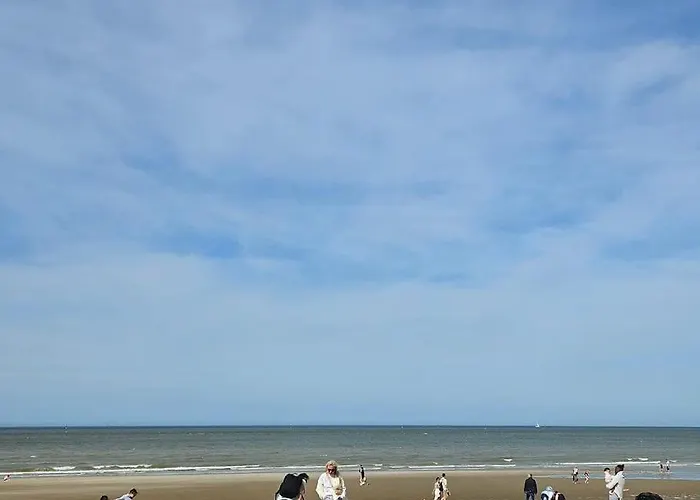 Apartment Avec Jardin Rosendael Proche Dunkirk